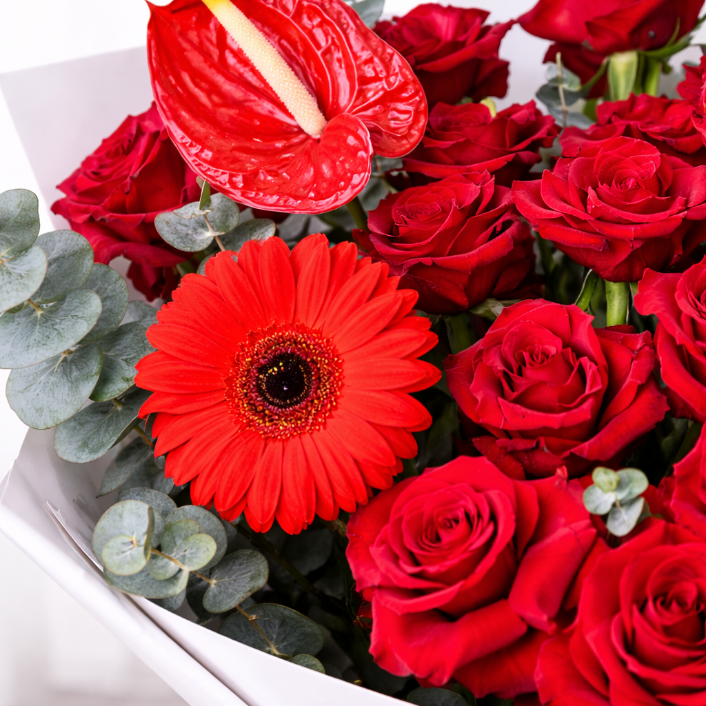 A close up photo of red gerbera, red anthurium and red roses bouquet