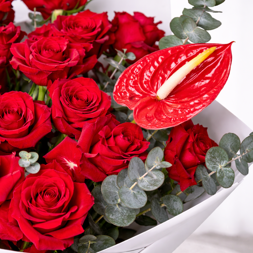 A close up photo of red anthurium and red roses bouquet